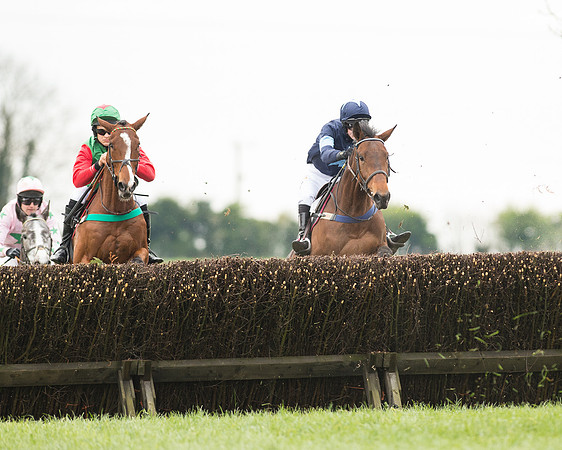 Race 2 - Aga Open Maiden (68 of 151).jpg