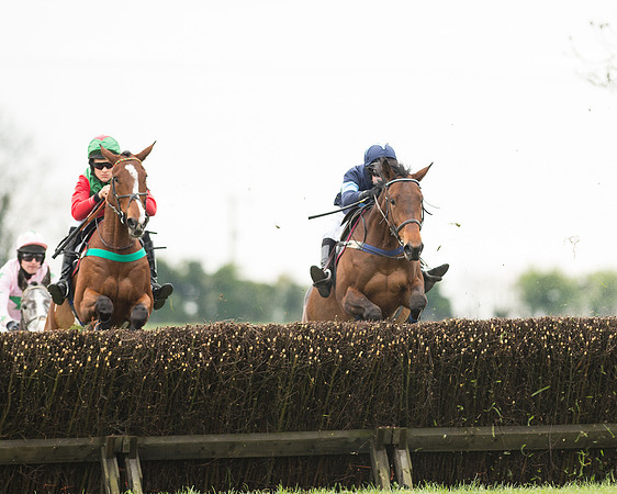 Race 2 - Aga Open Maiden (69 of 151).jpg