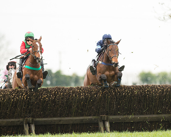 Race 2 - Aga Open Maiden (70 of 151).jpg
