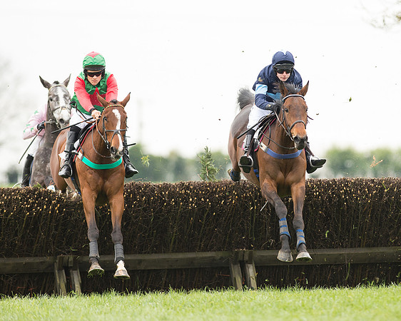 Race 2 - Aga Open Maiden (72 of 151).jpg