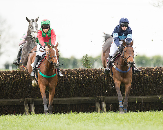 Race 2 - Aga Open Maiden (73 of 151).jpg