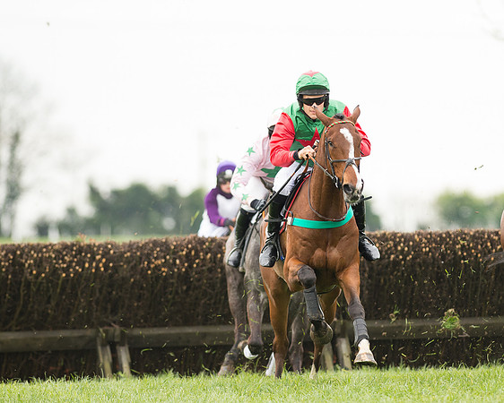 Race 2 - Aga Open Maiden (74 of 151).jpg