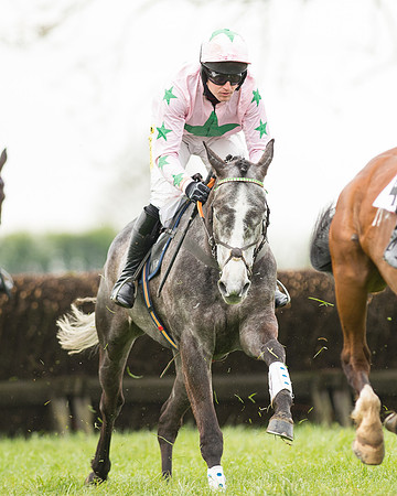 Race 2 - Aga Open Maiden (76 of 151).jpg