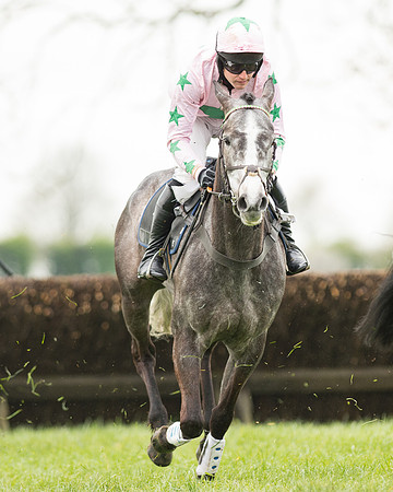 Race 2 - Aga Open Maiden (77 of 151).jpg