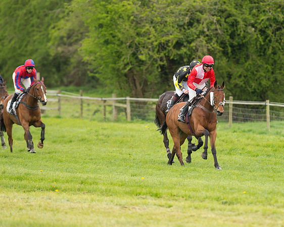 Race 2 - Aga Open Maiden (80 of 151).jpg