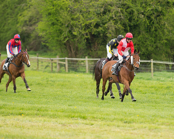 Race 2 - Aga Open Maiden (81 of 151).jpg