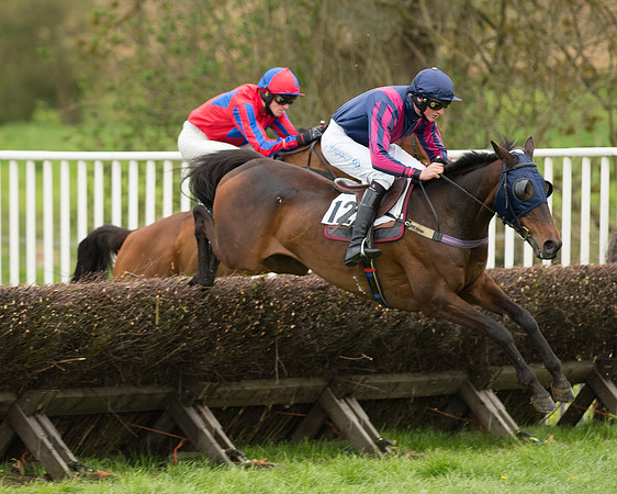 Race 2 - Aga Open Maiden (85 of 151).jpg