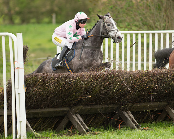 Race 2 - Aga Open Maiden (88 of 151).jpg