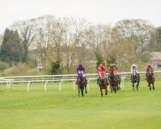 Race 2 - Aga Open Maiden (89 of 151).jpg