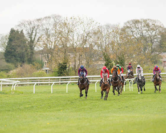 Race 2 - Aga Open Maiden (90 of 151).jpg