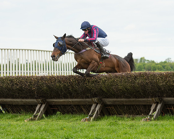 Race 2 - Aga Open Maiden (98 of 151).jpg