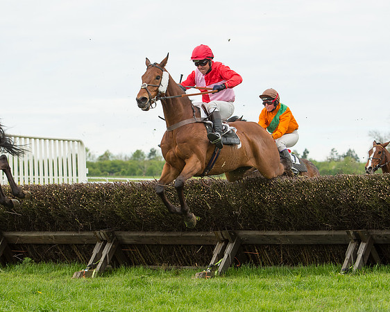 Race 2 - Aga Open Maiden (101 of 151).jpg