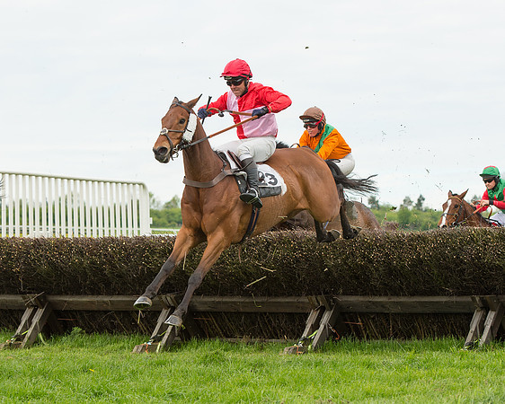 Race 2 - Aga Open Maiden (102 of 151).jpg