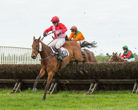 Race 2 - Aga Open Maiden (103 of 151).jpg