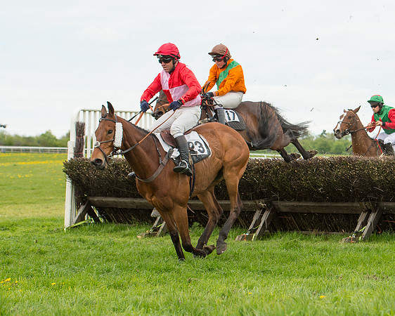 Race 2 - Aga Open Maiden (104 of 151).jpg
