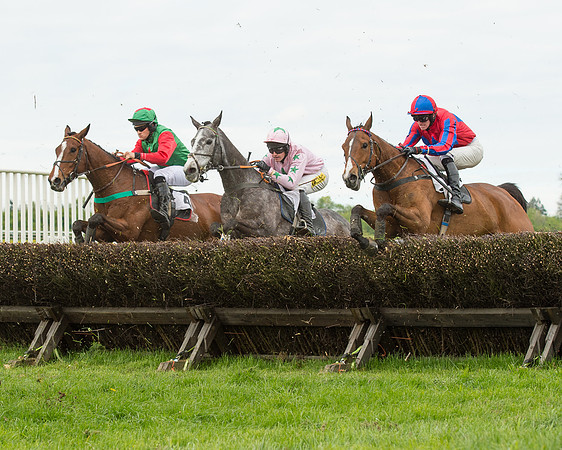 Race 2 - Aga Open Maiden (105 of 151).jpg