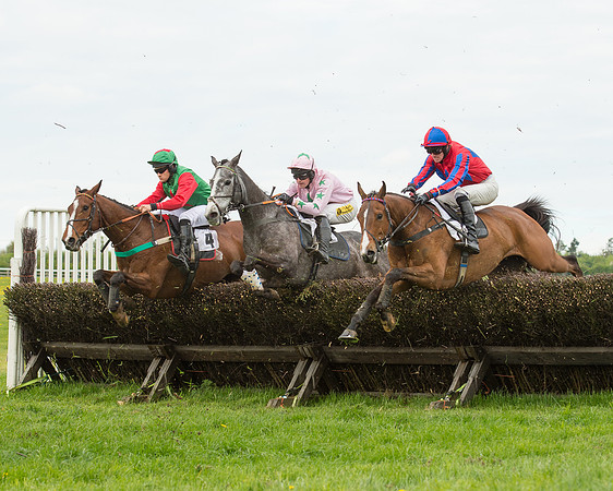 Race 2 - Aga Open Maiden (106 of 151).jpg