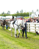 Race 8 - Challenge Race (8 of 130).jpg