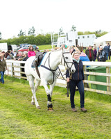 Race 8 - Challenge Race (9 of 130).jpg
