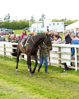 Race 8 - Challenge Race (10 of 130).jpg