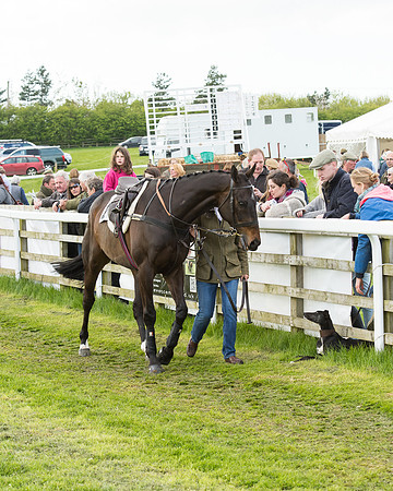 Race 8 - Challenge Race (10 of 130).jpg