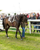 Race 8 - Challenge Race (11 of 130).jpg