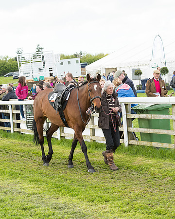 Race 8 - Challenge Race (13 of 130).jpg