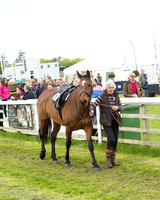 Race 8 - Challenge Race (14 of 130).jpg