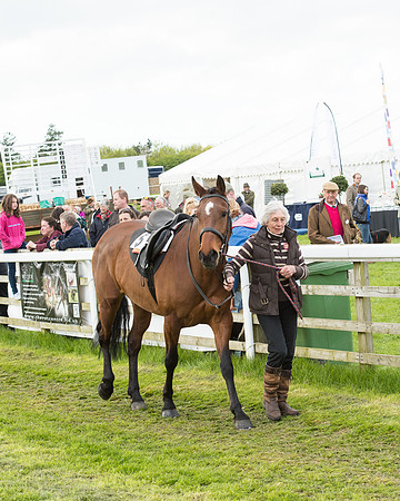 Race 8 - Challenge Race (14 of 130).jpg