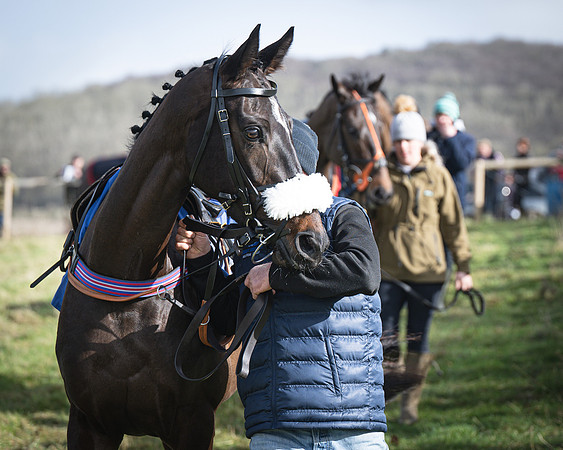 Race 1 - Four and Five year Old Maiden (19 of 137)