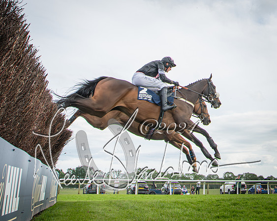 Race 1 - Pointing Pointers Restricted Final (41 of 79)