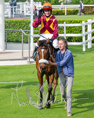 Race 1 - The Bottle Green Open Hunters steeplechase 2m62y (77 of 93)