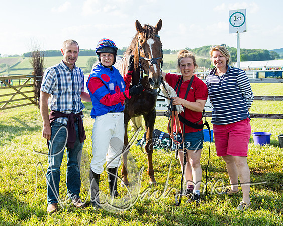 Race 7 - Veteran Horse (233 of 246)