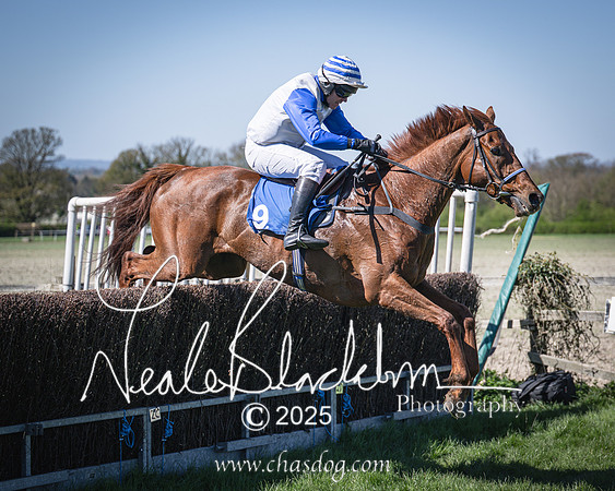 Race 2 - The Maiden (85 of 118)