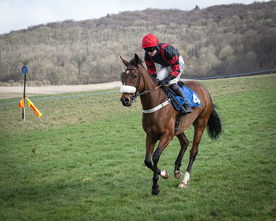 Race 1 - Four and Five year Old Maiden (65 of 137)