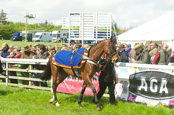 Race 2 - Open Maiden  17