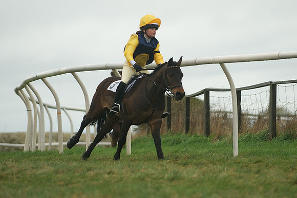 Race 7 - Pony Race 1 -  12
