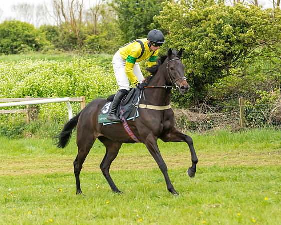 Race 7 - Open Maiden  (28 of 106)