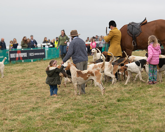 Hounds and Others (55 of 100)