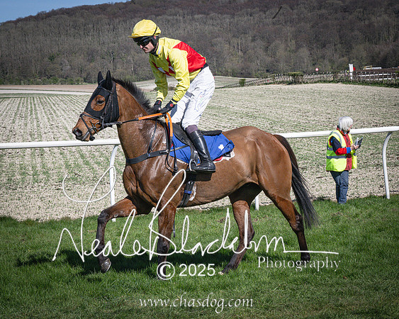 Race 5 - The restricted (42 of 113)