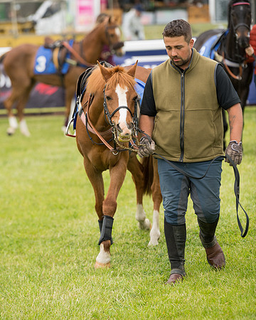 Pony Race 1  (16 of 125)