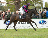 Race 1 - Novice and Veteran Riders (2 of 55).jpg
