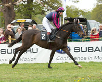 Race 1 - Novice and Veteran Riders (3 of 55).jpg