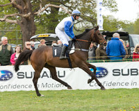 Race 1 - Novice and Veteran Riders (8 of 55).jpg
