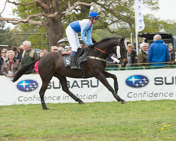 Race 1 - Novice and Veteran Riders (11 of 55).jpg