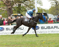 Race 1 - Novice and Veteran Riders (14 of 55).jpg