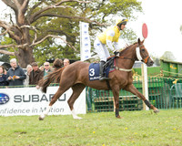 Race 2 - Subaru Restricted Race (5 of 71).jpg