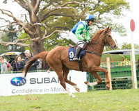 Race 2 - Subaru Restricted Race (14 of 71).jpg