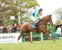Race 2 - Subaru Restricted Race (15 of 71).jpg