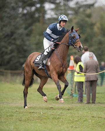 Race 5 - Open Maiden (2 of 72).jpg